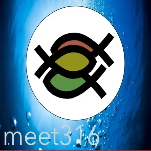 Play meet316 APK Play meet316 APK