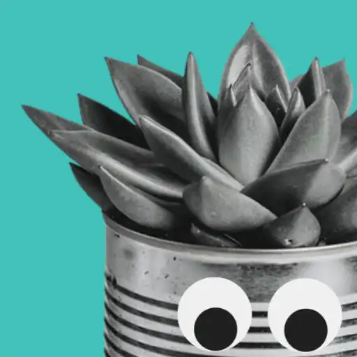 Play Meet for Branch - Plant Swap APK