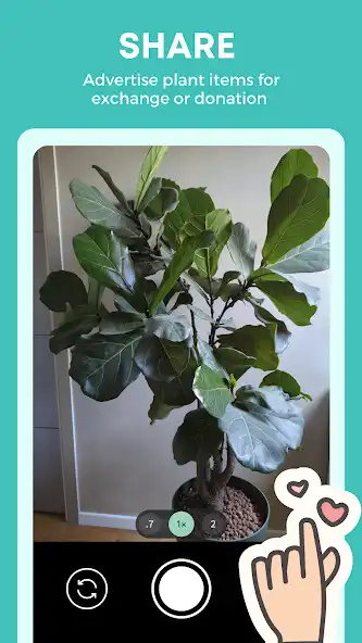 Play Meet for Branch - Plant Swap as an online game online Meet for Branch - Plant Swap with UptoPlay Play Meet for Branch - Plant Swap as an online game Meet for Branch - Plant Swap with UptoPlay