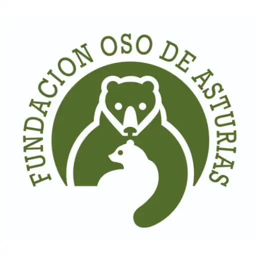 Play Meetingbears APK