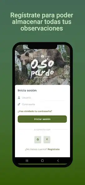 Play Meetingbears as an online game online Meetingbears with UptoPlay Play Meetingbears as an online game Meetingbears with UptoPlay