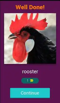 Play Mega Animal Quiz