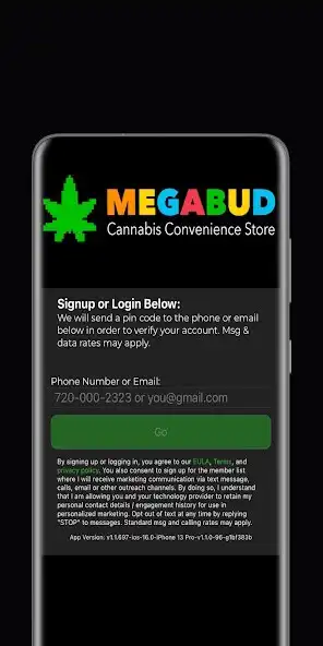 Play MegaBud as an online game MegaBud with UptoPlay