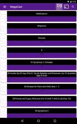 Play MegaCast Roku