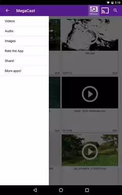 Play MegaCast Roku