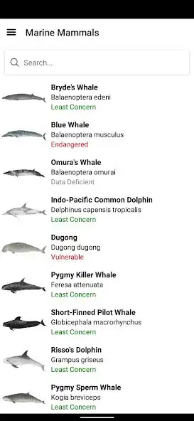 Play Mega Fauna as an online game online Mega Fauna with UptoPlay Play Mega Fauna as an online game Mega Fauna with UptoPlay