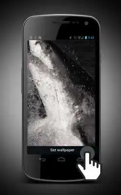 Play Megalodon Live Wallpaper