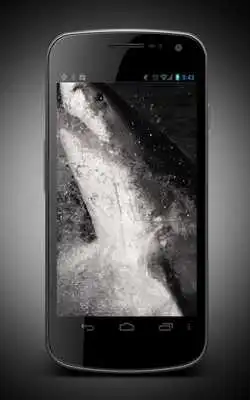 Play Megalodon Live Wallpaper