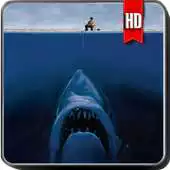 Free play online Megalodon Pack 2 Wallpaper APK