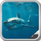 Free play online Megalodon Wallpaper APK Free play online Megalodon Wallpaper APK