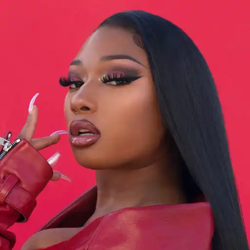 Play Megan Thee Stallion Life APK