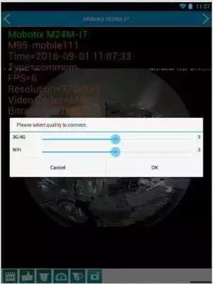 Play MegaNVR Viewer