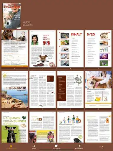Play Mein TIERHEILPRAKTIKER TierMag as an online game Mein TIERHEILPRAKTIKER TierMag with UptoPlay