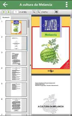 Play Melancia