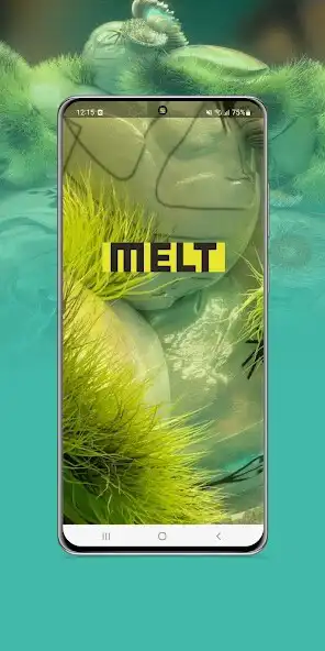 Play MELT Festival 2023 and enjoy MELT Festival 2023 with UptoPlay Play MELT Festival 2023 and enjoy MELT Festival 2023 with UptoPlay