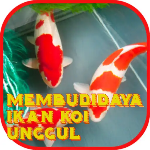Play Membudidaya Ikan Koi Unggul APK Play Membudidaya Ikan Koi Unggul APK