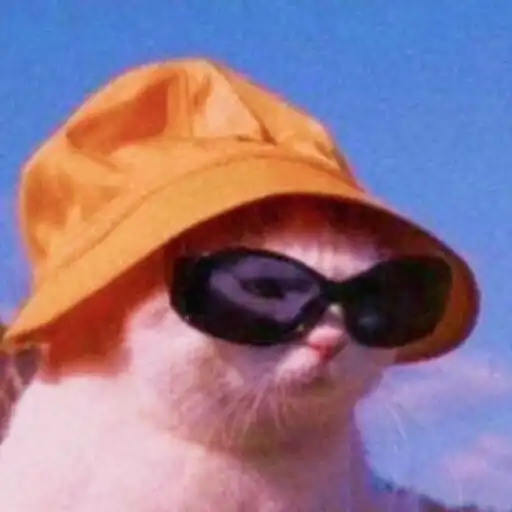 Play Memedev - Watch, Create  Enjo APK