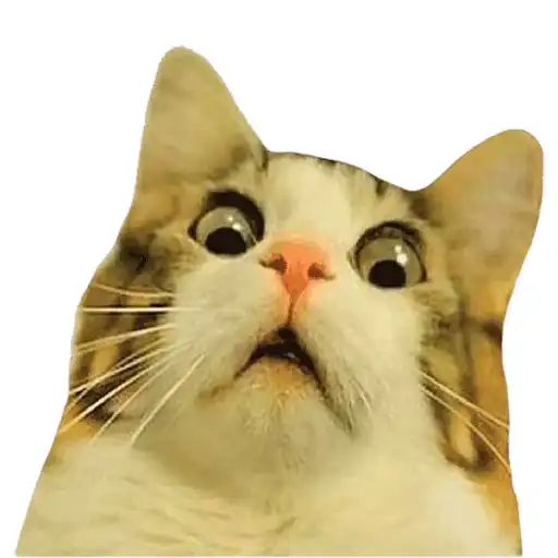 Play Meme Emoji Sticker wasticker APK Play Meme Emoji Sticker wasticker APK