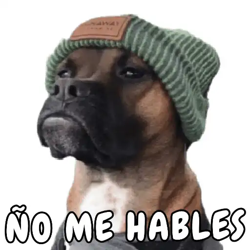 Play Memes con Frases - WASticker APK Play Memes con Frases - WASticker APK