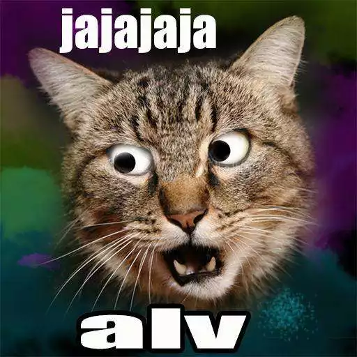 Free play online MEMES DIVERTIDOS APK Free play online MEMES DIVERTIDOS APK