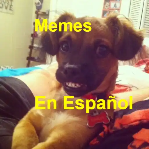 Play Memes en español APK
