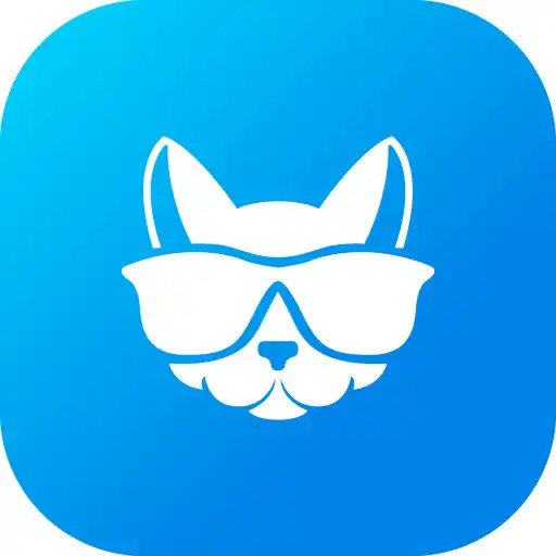 Play Memes Gang APK Play Memes Gang APK