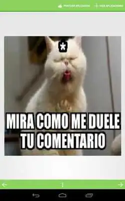 Play Memes para Compartir