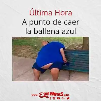 Play Memes sobre la ballena azul