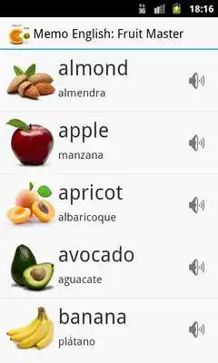 Play Memo English: Fruit Master