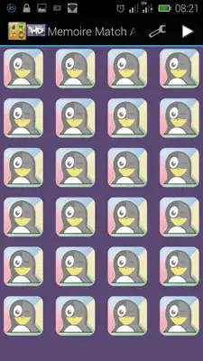 Play Memoire Match Adventure
