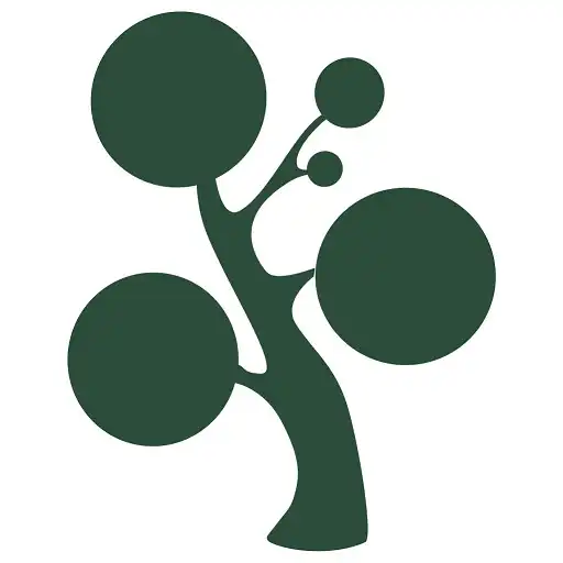 Play Memoria forestal APK