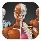 Free play online Memorix APK Free play online Memorix APK