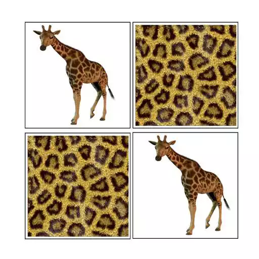 Free play online Memorize! Zoo APK