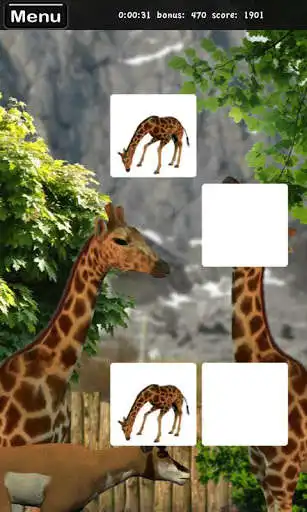 Play Memorize! Zoo