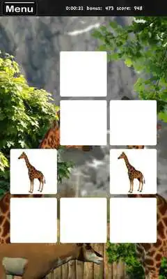 Play Memorize! Zoo