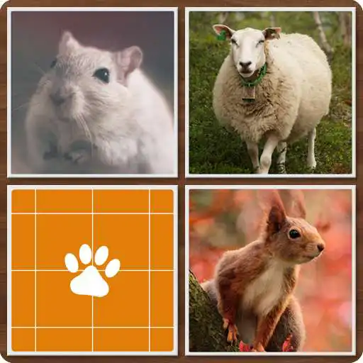 Play memory animals APK