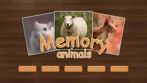 Play Memory Animals
