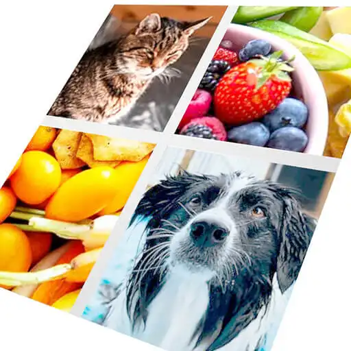 Play Memory Attention Puzzle Game APK