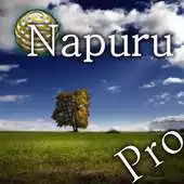 Free play online Memory Boost Brain Massage APK