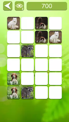 Play Memory Match: Memory Game  and enjoy Memory Match: Memory Game with UptoPlay