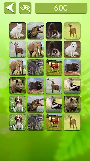 Play Memory Match: Memory Game as an online game Memory Match: Memory Game with UptoPlay