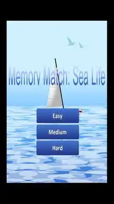 Play Memory Match: Sea Life