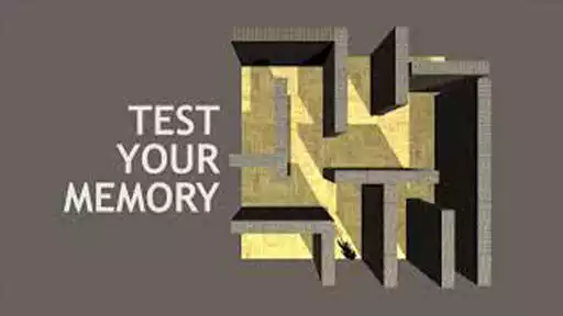 Play Memory Maze