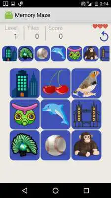 Play Memory Maze