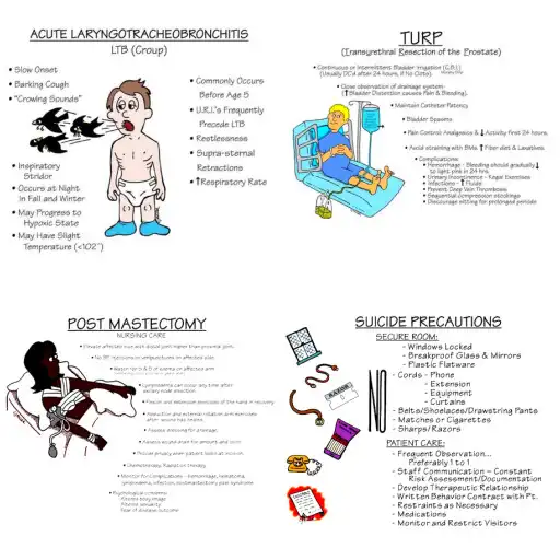 Play Memory of Book of Nursing APK Play Memory of Book of Nursing APK