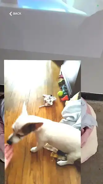 Play Memory Palace AR App as an online game Memory Palace AR App with UptoPlay
