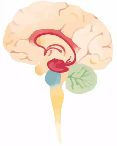 Play APK Memory Techniques  and enjoy Memory Techniques with UptoPlay com.Memory.Techniques.Improve