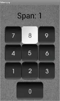 Play Memory Tester