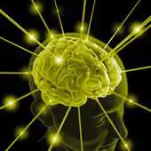 Free play online Memory Trainer Complex APK Free play online Memory Trainer Complex APK