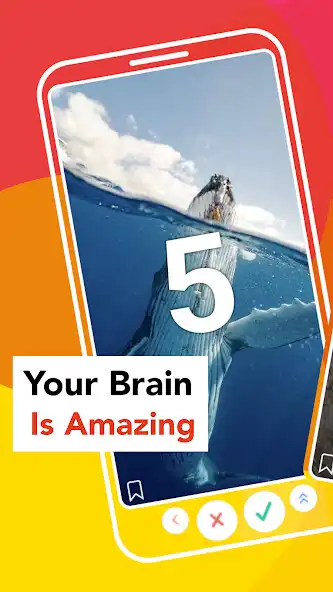 Play Memory Training  Brain Games  and enjoy Memory Training  Brain Games with UptoPlay
